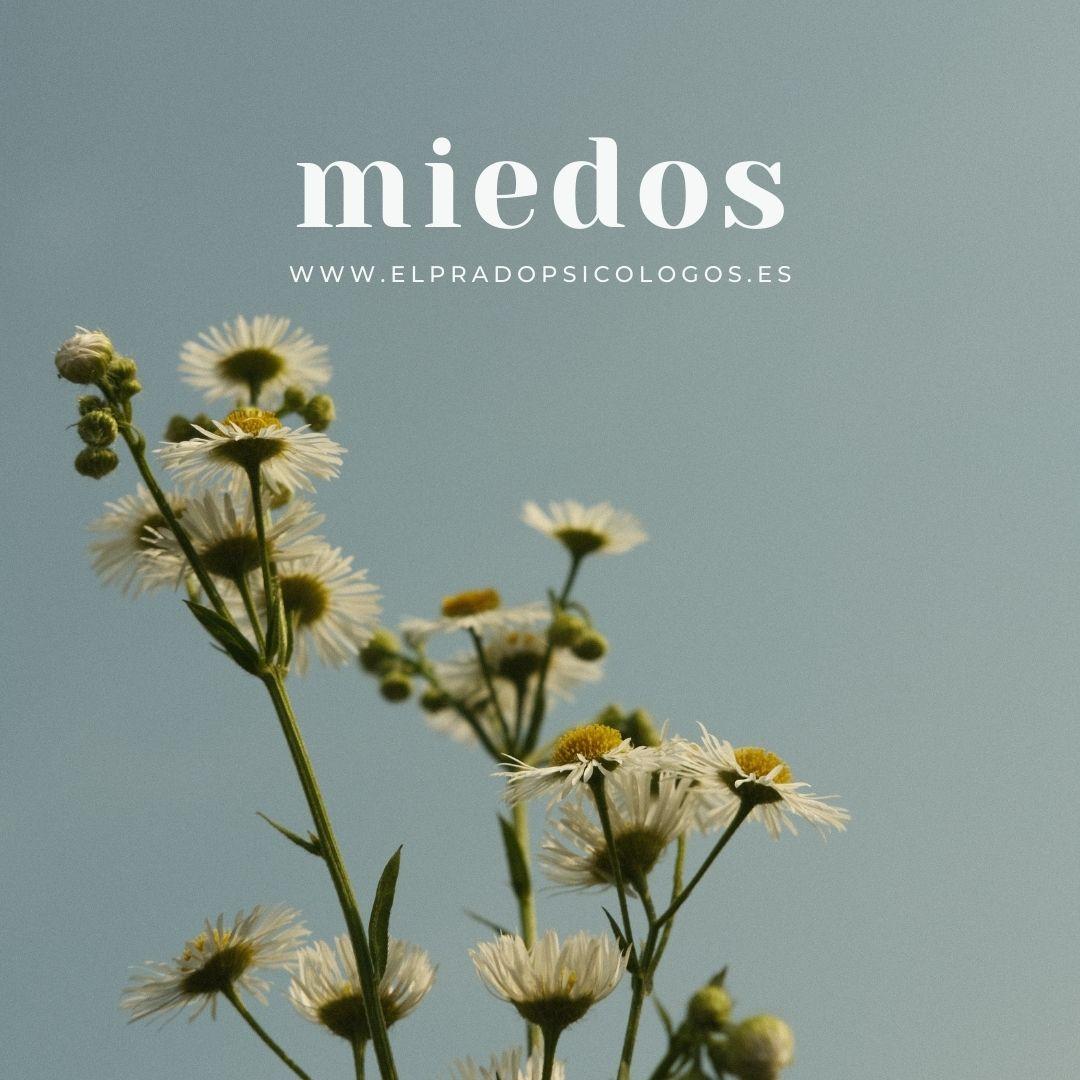 superar el miedo superar miedos